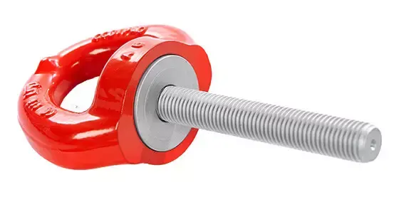 Eye bolt inspection